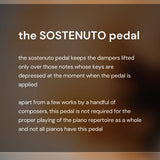 The Piano Pedals INFOGRAPHIC by JudisPiano