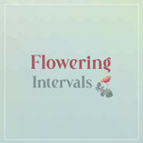 Flowering Intervals