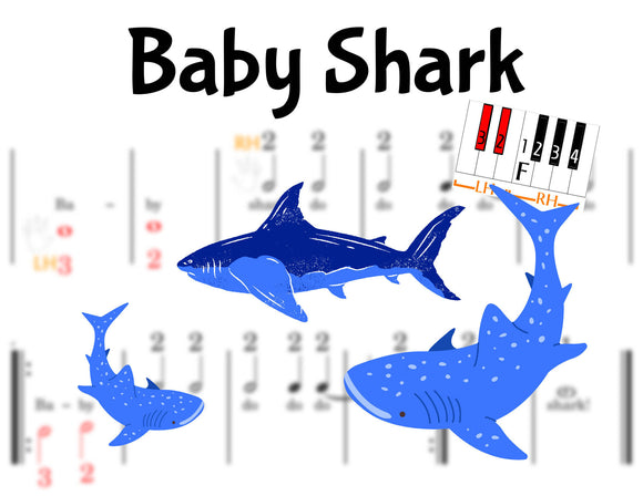 Baby Shark - Pre-staff Finger Number Notation on the Black Keys - STUDIO LICENSE