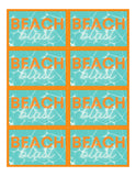 Beach Blast - Beginner Game