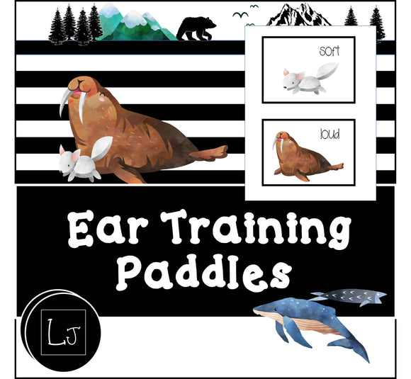 Ear Training Paddles
