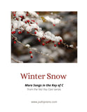 WINTER SNOW - Easy Piano Solo by JudisPiano - single use license