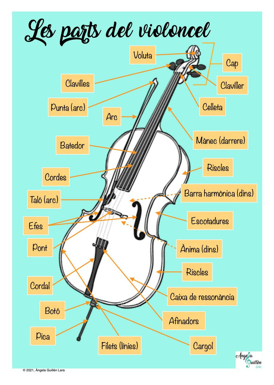 Parts del violoncel, material didàctic – Music Teacher Resources