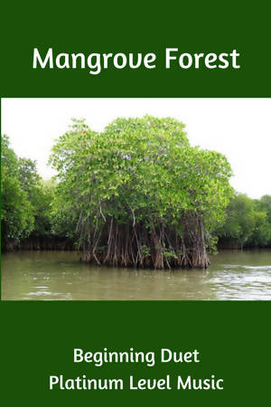 The Mangrove Forest